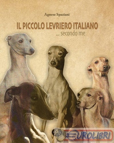 9788897525608 agnese spaziani - 9788897525608,