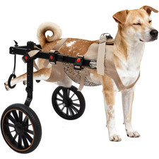 Carrozzina Regolabile per