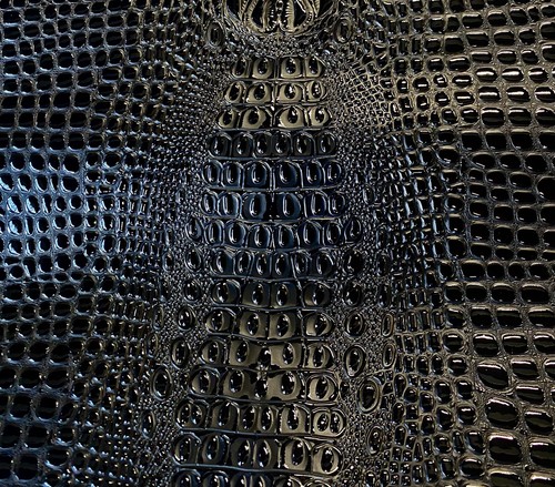 Black swamp coccodrillo - black,