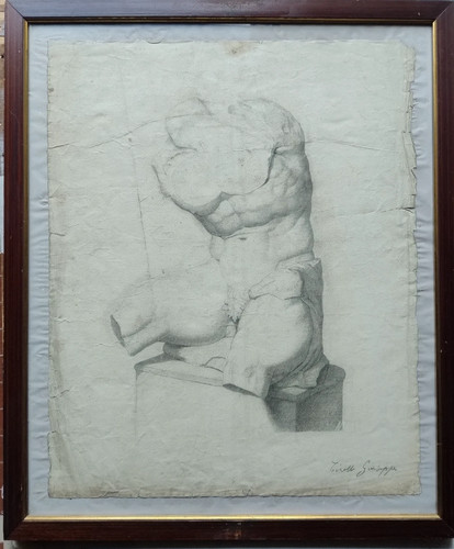 Studio dal torso del belvedere - studio,