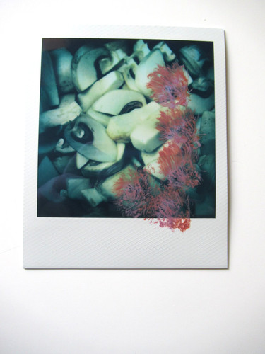 Araki polaroid originale - araki:,