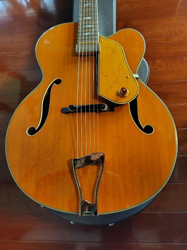 Washburn orleans rara - washburn,