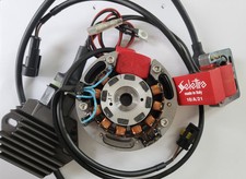 Sistema DMon Selettra SML 12V