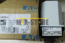1pz MCS11