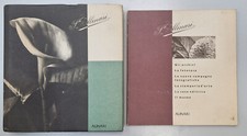 Alinari: storia, archivi
