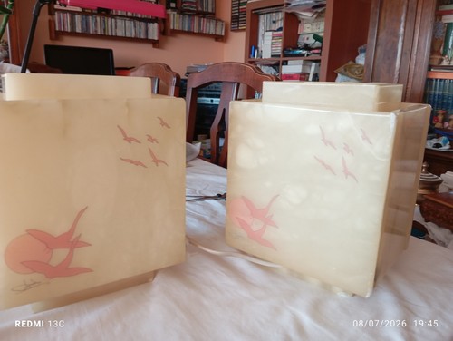 Coppia lampade vintage - lampade,
