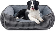 Cuccia cane interno - cane, interno,