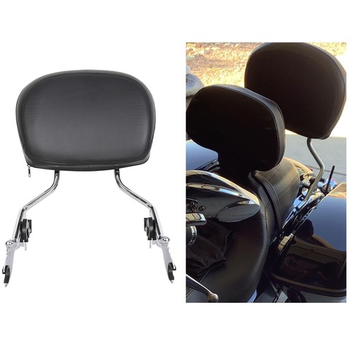 Ecotric schienale passeggero - ecotric,