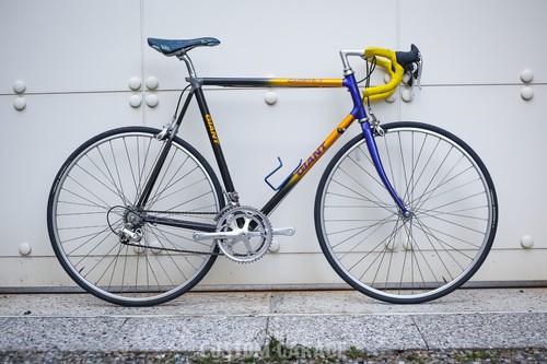 Bicicletta giant cadex - giant,
