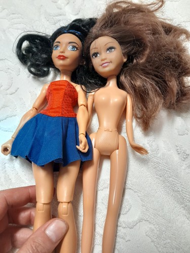 Super hero girls wonder - hero,