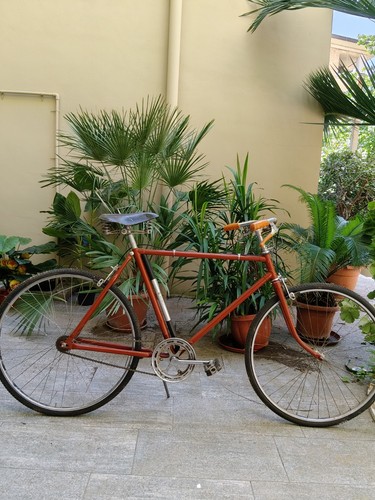 Bicicletta vintage taglia - bicicletta,