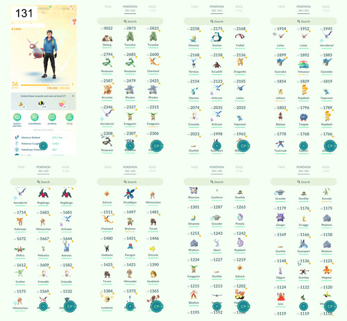 Pokémon acc lvl 23 - acc, go