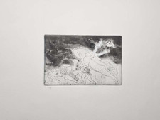 ROBERTO BARNI  Opera Acquaforte Originale 1982 "Arianna Europa" Firmata N. 19/25