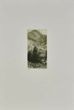 Silvestro Pistolesi acquaforte 2 Formato 56x38