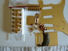 Fender Stratocaster gold set
