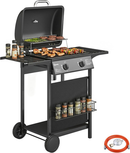 Barbecue gas con 2 - gas,