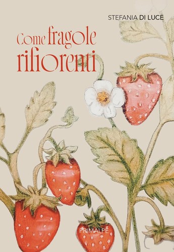 Libro nuovo stefania di - nuovo,