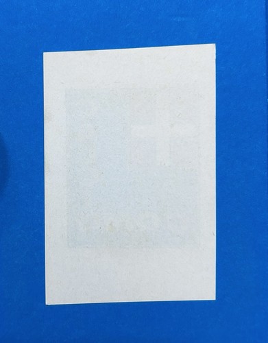 Figurina calciatori panini - figurina,