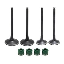 Kit Valvole Aspirazione