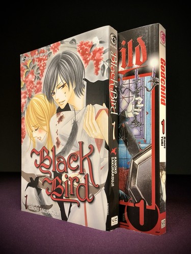 Black bird vol godchild - bird,