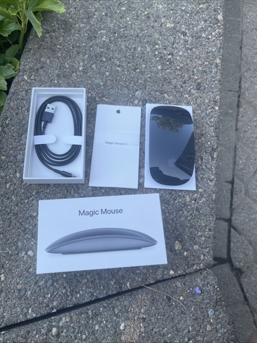Apple magic mouse grigio - mouse,