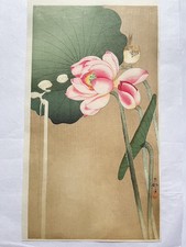 Koson Ohara xilografia stampa
