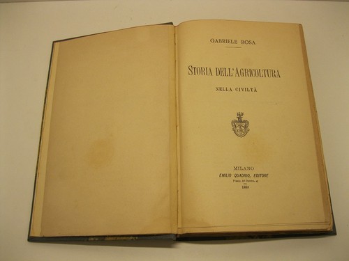 Rosa gabriele storia - rosa,