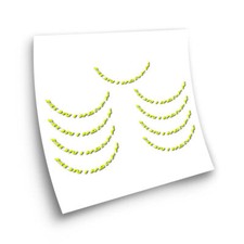 STAR SAM ® BONTRAGER ADESIVI