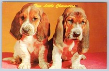 SALUTI DA DENVILLE NEW JERSEY BASSETT HOUND CUCCIOLI CANI PICCOLI PERSONAGGI