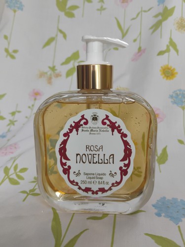Santa maria novella - maria, rosa