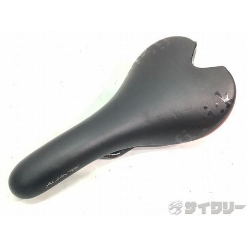 Saddle fizik aliante - saddle,