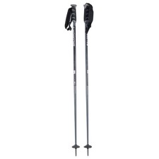 Salomon Arctic S3 Palo da sci