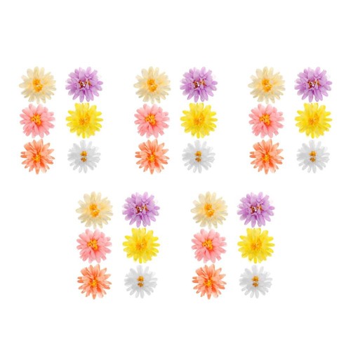 Decorazioni fiori margherita