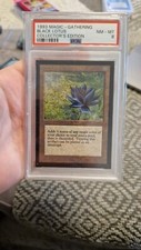 Collectors Edition Black Lotus