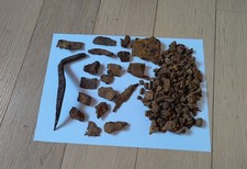 Reperti della Grande Guerra