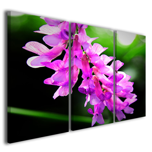 Quadri fiori immagini moderne
