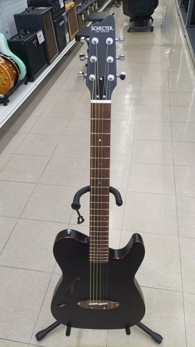 Chitarra acustica elettrica