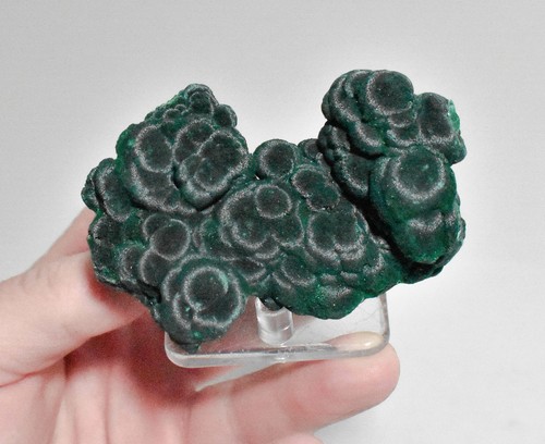 Chatoyant fibrous occhi - chatoyant,