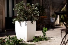 Porta vaso quadrato liscio - porta,