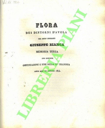Bianca giuseppe flora dei - giuseppe,