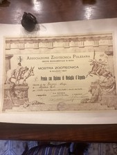 Diploma Di Premio Mostra Zootecnica Polesana 8 Giugno 1927vitelle Sopra L’anno
