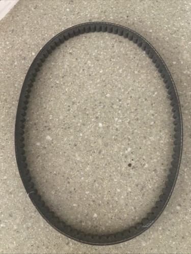 Cinghia corta motore moto