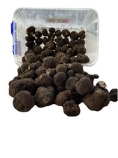 Tartufo Nero 1º Scelta