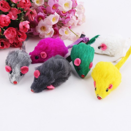 Pcs accessori gatto - ,