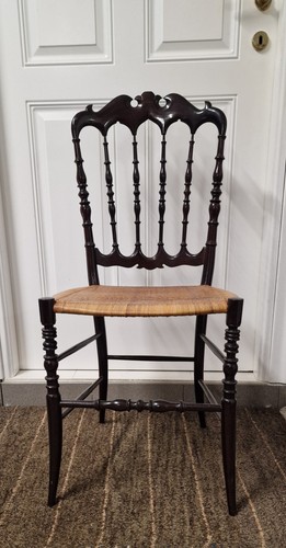 Coppia sedie chiavari - sedie,