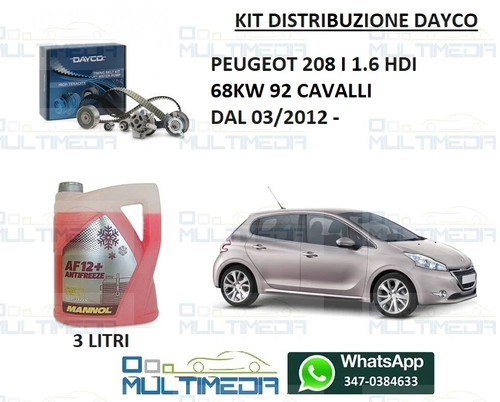 Kit distribuzione pompa - distribuzione,