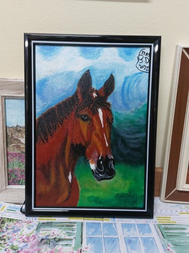 Quadro cavallo 20x30cm - quadro,