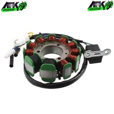 Alternatore Statore Volano Magnete Trifase 11 Poli Peugeot LXR 125 2009 al 2015