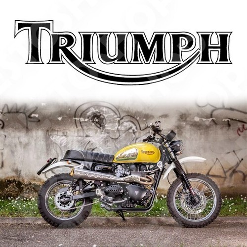 Adesivo moto triumph - moto,