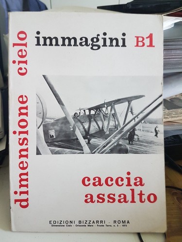 Regia aereonautica caccia - regia,